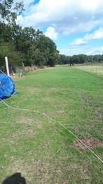 Te huur weide met schuilcontainer., Dieren en Toebehoren, Stalling en Weidegang