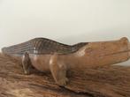Varaan handgestoken sculptuur Papoea New Guinea, Verzenden