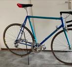Gazelle Champion Mondial AA-731 OS, Ophalen, Nieuw, 57 tot 61 cm, Gazelle