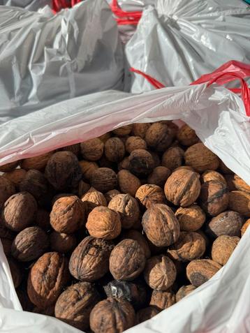 Verse Walnoten 100% natuurlijk beschikbaar voor biedingen