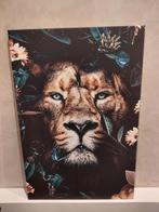 Canvas poster Leeuw 60x90cm, Ophalen, 50 tot 75 cm, Nieuw, Foto of Poster