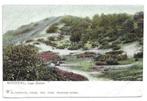 AK Schoorl - Lage Duinen, Verzenden, Voor 1920, Ongelopen, Noord-Holland