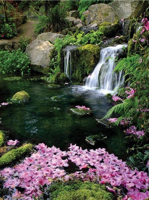 Tuinposter 180 x 135 cm |(h x br.), Tuin en Terras, Tuinwanddecoratie, Nieuw, Verzenden
