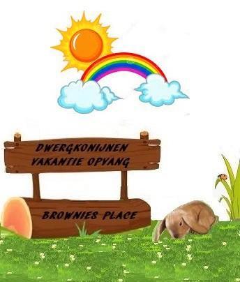 Dwerg konijnen vakantieopvang!, Diensten en Vakmensen, Dieren | Overige | Verzorging, Oppas en Les