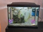 Superfish Aquarium Start 50, Dieren en Toebehoren, Ophalen, Gevuld zoetwateraquarium