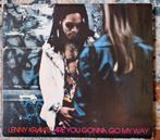 Lenny Kravitz - Are you gonna go my way CD, Ophalen of Verzenden, 1980 tot 2000, Gebruikt