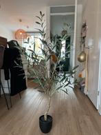 Kunstplant Olijfboom JYSK - Zo goed als nieuw!, Ophalen of Verzenden, Zo goed als nieuw, Binnen