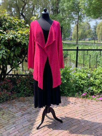 Superleuk NIEUW vest ❤️ lekker nonchalant Maat XL beschikbaar voor biedingen
