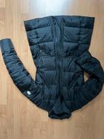 Replay Damesjas Maat S, Ophalen of Verzenden, Gedragen, Maat 36 (S)