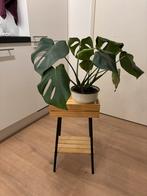 IKEA VANILJSTÅNG Plantenstandaard, Huis en Inrichting, Ophalen, Gebruikt, Zwart, Hout