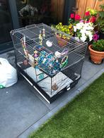 Papegaaienkooi met accessoires, Dieren en Toebehoren, Vogels | Hokken en Kooien, Ophalen, Gebruikt, Metaal, Vogelkooi