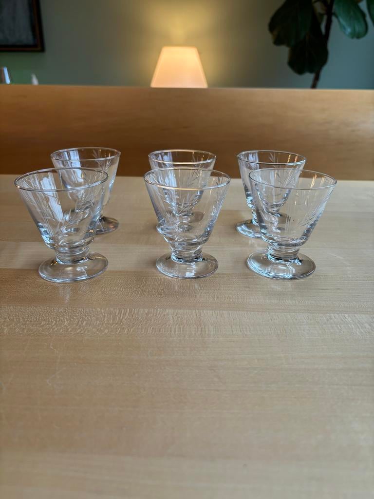 6 Antieke Kristallen Borrelglaasjes Gegraveerd, Antiek en Kunst, Antiek | Glas en Kristal, Ophalen of Verzenden