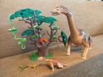 Diverse set dino playmobiel, Kinderen en Baby's, Speelgoed | Playmobil, Ophalen of Verzenden, Zo goed als nieuw