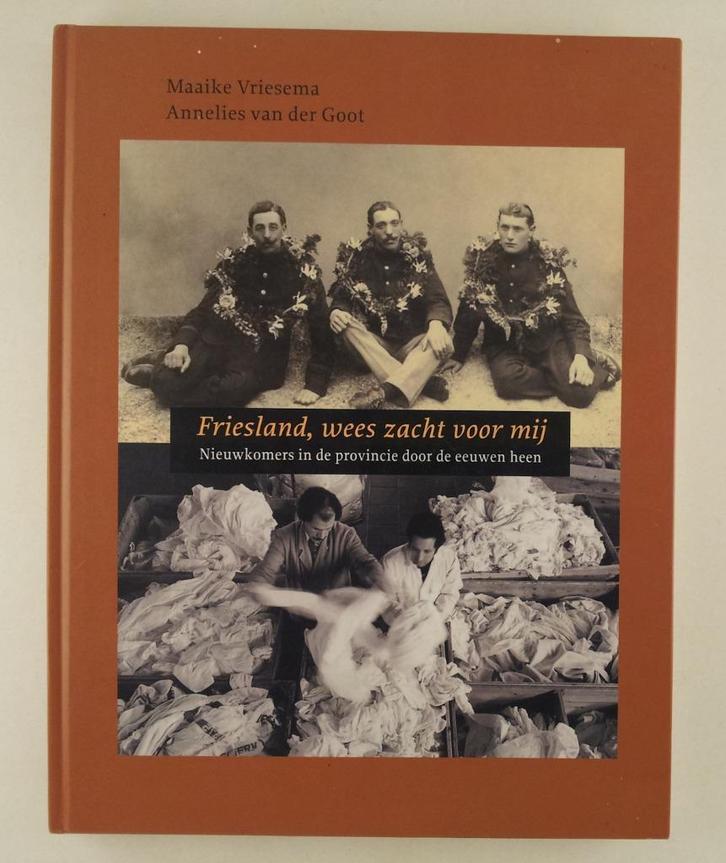 Vriesema, Maaike - Friesland, wees zacht voor mij, Boeken, Geschiedenis | Stad en Regio, Gelezen, Verzenden
