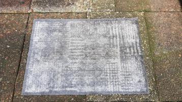 Mooie Deurmat / Droogloopmat / Schoonloopmat / Entremat beschikbaar voor biedingen