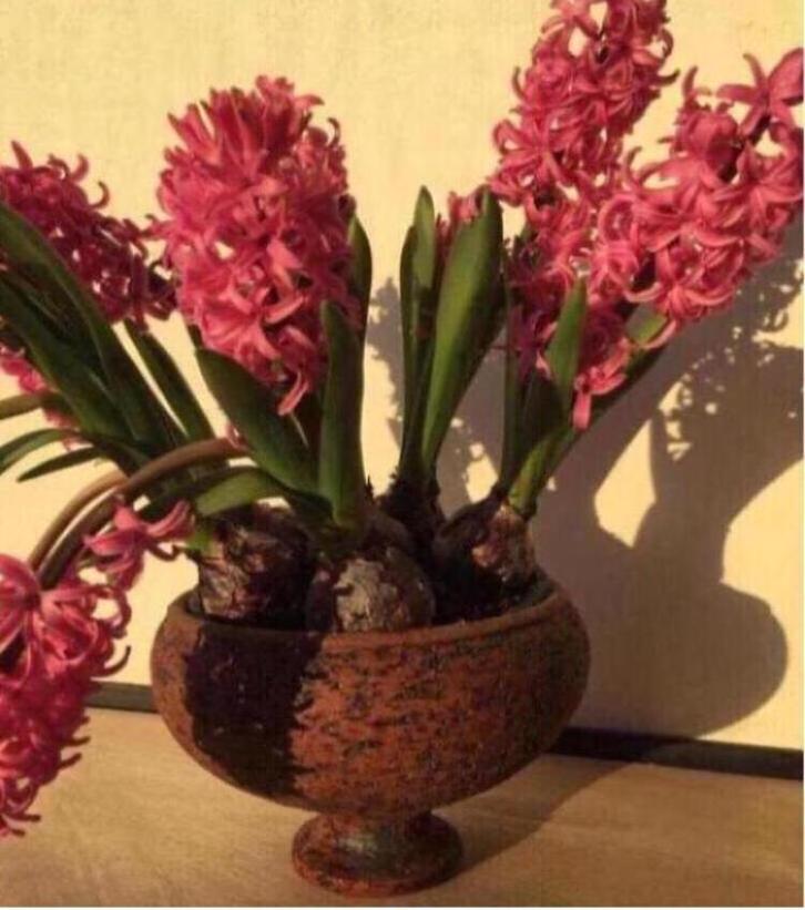 Oranje uniek groen geglazuurde bloempot vintage ‘50 uniek, Tuin en Terras, Bloempotten, Gebruikt, Terracotta, Binnen, Minder dan 40 cm