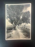 Briefkaart Geuzendam 287a, Rijksweg Zeddam-Beek ongebruikt, Verzenden, Briefkaart