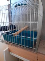 Vervoerskooi, Ophalen, Hout, Vogelkooi