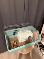 Knaagdier kooi, Rat, Kooi, Zo goed als nieuw, 75 tot 110 cm