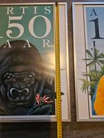 Artis 150 Jaar Posters - Set van 2, Ophalen of Verzenden
