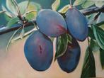 blauwe pruimen, Antiek en Kunst, Kunst | Schilderijen | Modern, Ophalen of Verzenden