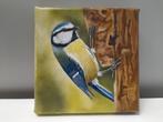OPRUIMING schilderij pimpelmees - eigen werk - vogels vogel, Antiek en Kunst, Kunst | Schilderijen | Klassiek, Ophalen of Verzenden