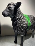 zwart schaap, Dieren en Toebehoren, Schapen, Geiten en Varkens, Geslacht onbekend, Schaap, 6 jaar of ouder