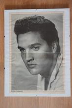 Afbeelding Elvis Presley popblad, Ophalen of Verzenden, Gebruikt, Foto of Kaart