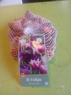Actie Tulpen mix, Tuin en Terras, Bloembollen en Zaden, Ophalen of Verzenden, Volle zon