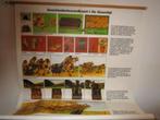 Geschiedeniswandkaart, Verzamelen, Ophalen, Gebruikt
