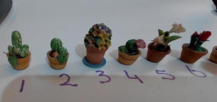 Mini Plantjes voor Poppenhuis 1:12, Verzamelen, Poppenhuizen en Toebehoren, Poppenhuis, Ophalen of Verzenden