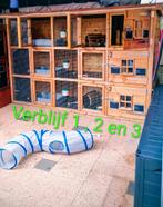 Konijnenpension Duiven vakantieopvang konijnen, Ophalen, Nieuw, Overige typen