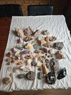 Partij Mineralen, Ophalen