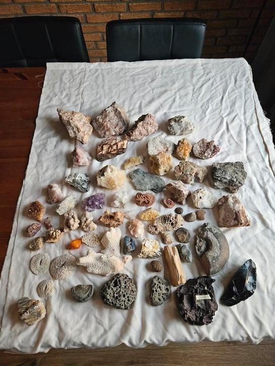 Partij Mineralen, Verzamelen, Mineralen en Fossielen, Ophalen