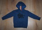 Hoodie van Tumble 'n Dry 110, Tumble 'n Dry, Gebruikt, Trui of Vest, Ophalen of Verzenden