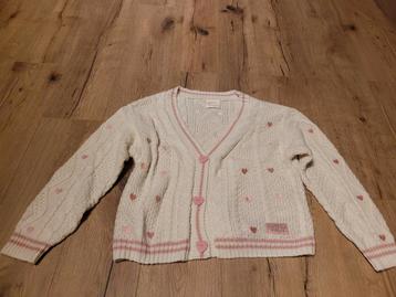 Nieuw Taylor Swift Lover Cardigan maat XS/S beschikbaar voor biedingen