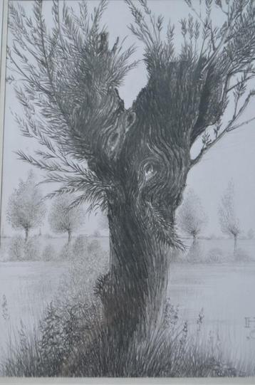 10 x Hendrik Voskuijl (1893 - 1980) potloodtek. 'bomen' (2) beschikbaar voor biedingen