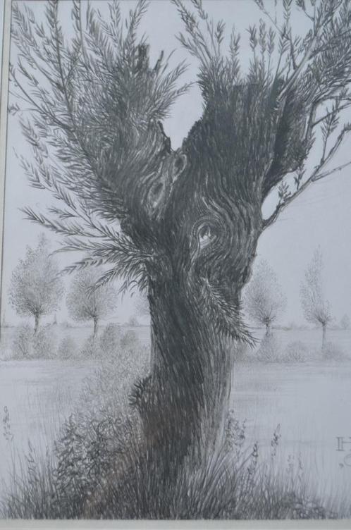 10 x Hendrik Voskuijl (1893 - 1980) potloodtek. 'bomen' (2), Antiek en Kunst, Kunst | Schilderijen | Modern, Ophalen of Verzenden