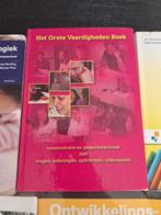 Het Grote Vaardighedenboek, Ophalen of Verzenden, Zo goed als nieuw, Overige niveaus, Nederlands