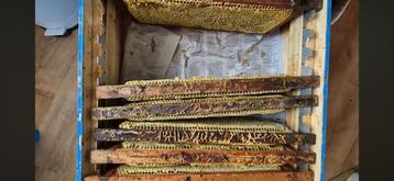 bloemenhoning & bijenwas – 2025, rechtstreeks van de imker! beschikbaar voor biedingen