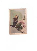Appelvink, Verzenden, 1940 tot 1960, Ongelopen, Vogel