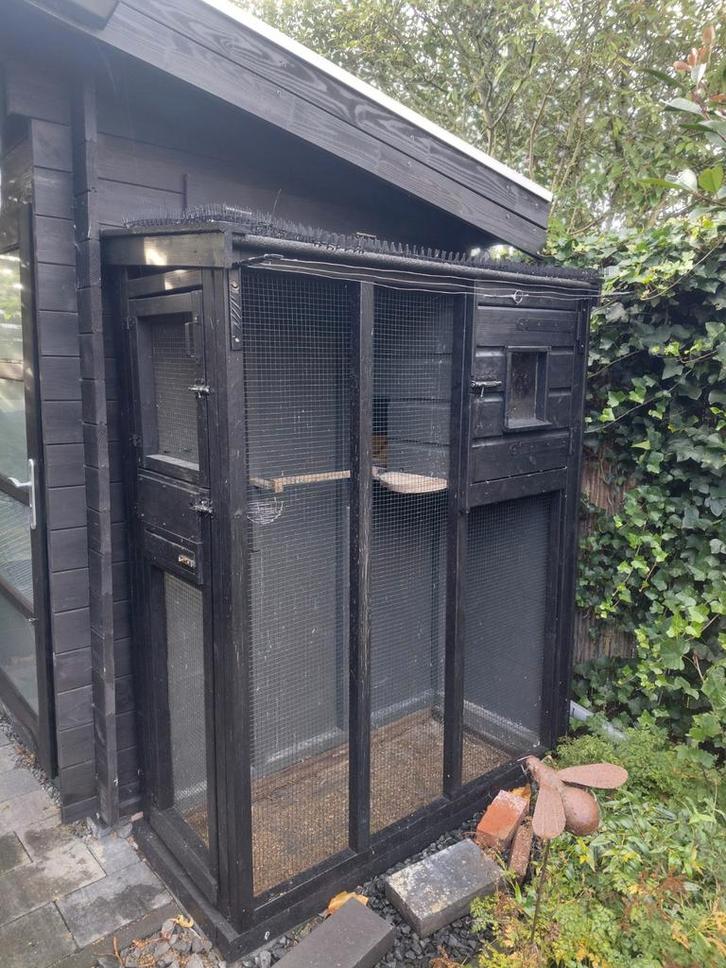 Voliere van hout met nachthok kleur zwart, Dieren en Toebehoren, Vogels | Hokken en Kooien, Gebruikt, Volière, Hout, Ophalen