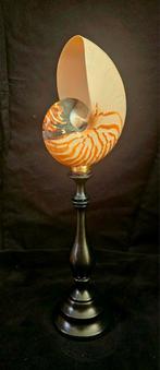Tijger nautilus op standaard, Ophalen of Verzenden, Zo goed als nieuw, Beeldje of Figuurtje