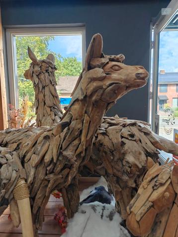 Teakhouten alpaca  beschikbaar voor biedingen