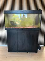 Juwel rio 180, Ophalen of Verzenden, Gebruikt, Leeg aquarium