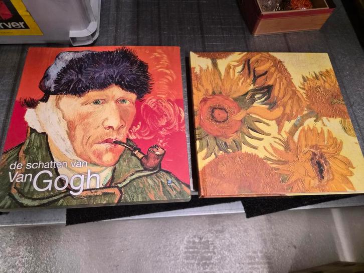 De Schatten van Vincent van Gogh - Cornelia Homburg, Boeken, Kunst en Cultuur | Beeldend, Gelezen, Schilder- en Tekenkunst, Ophalen of Verzenden