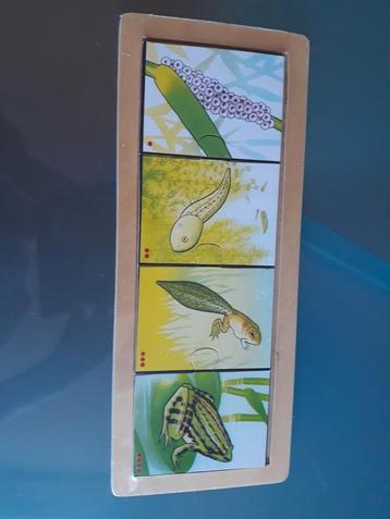Nieuwe puzzel groei kikker in folie.
 beschikbaar voor biedingen