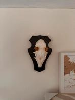 Herten Gewei op Schild, Ophalen