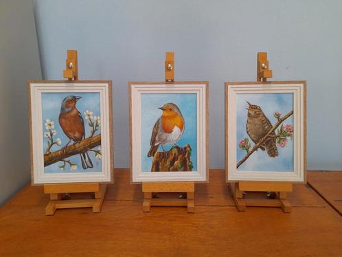 Partij nr1 vogelschilderijen - 3 st =1 prijs - eigen werk, Antiek en Kunst, Kunst | Schilderijen | Modern, Ophalen of Verzenden