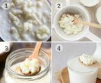 Melkkefir korrels, Diversen, Levensmiddelen, Ophalen